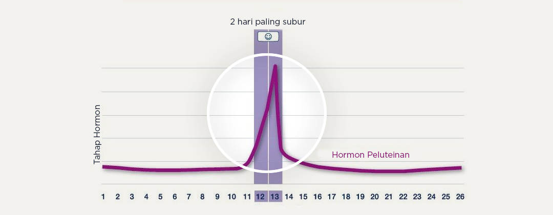 Shows your 2 most fertile days