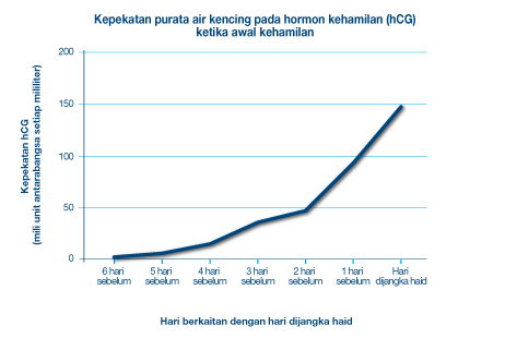 Ujian Kehamilan Aliran Pertengahan