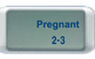 Hamil 2-3